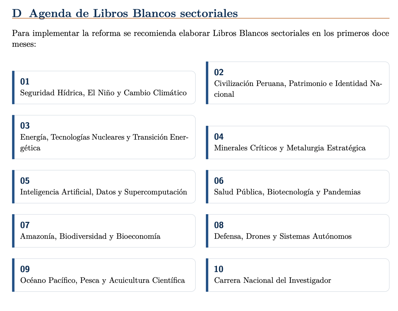 Agenda de Libros Blancos sectoriales